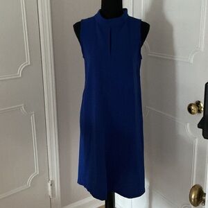 Sleeveless Blue Dress